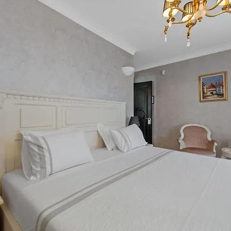 Villa Carolus In *